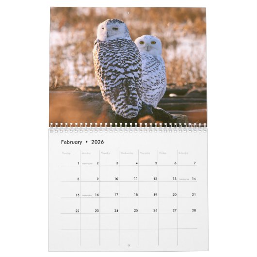 野生のフクロウのカレンダー カレンダー (2月 2026)