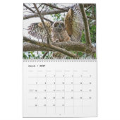 野生のフクロウのカレンダー カレンダー (3月 2027)