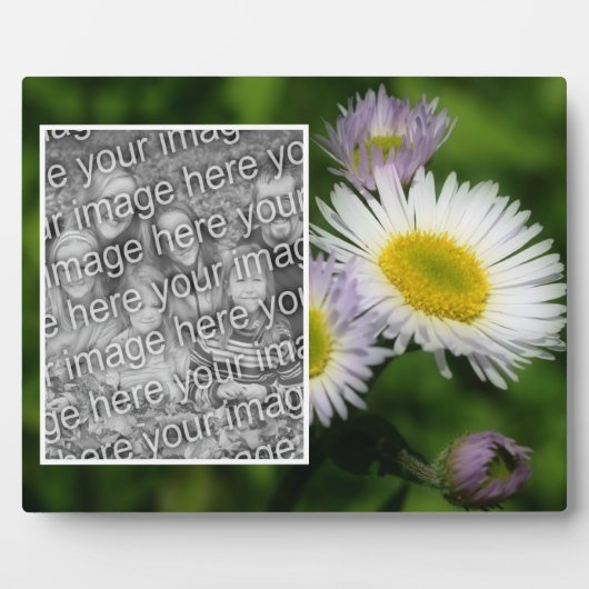 野生のフラバネデイジーフラワーオリジナルの写真を作成 フォトプラーク (正面)