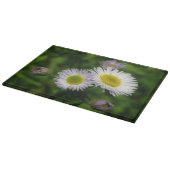 野生のフラバネデイジー花自然 カッティングボード (角)