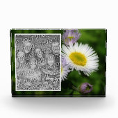 野生のフラバーンデイジーフラワークリエイティブユア独自 フォトブロック (正面)