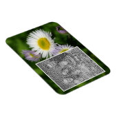 野生のフラバーンデイジーフラワーフレームあなたの写真を追加 マグネット (右側)