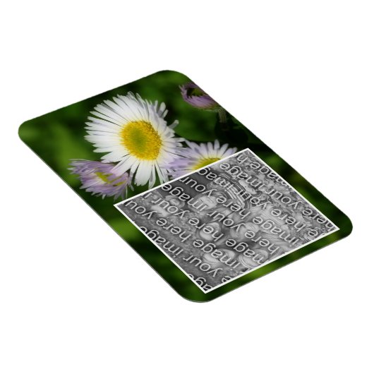 野生のフラバーンデイジーフラワーフレームあなたの写真を追加 マグネット (右側)