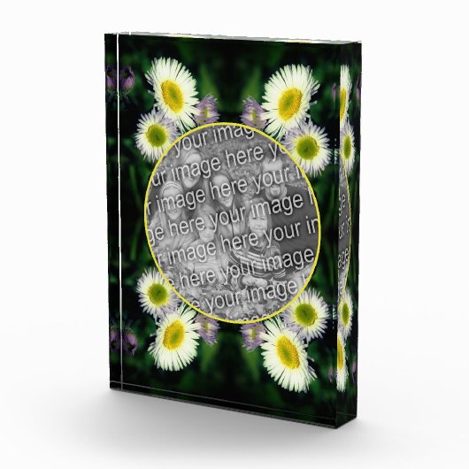 野生のフラバーンデイジーフラワーフレームを追加 フォトブロック (右)