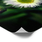 野生のフラバーンデイジー花鏡抽象芸術 ポスター (角)