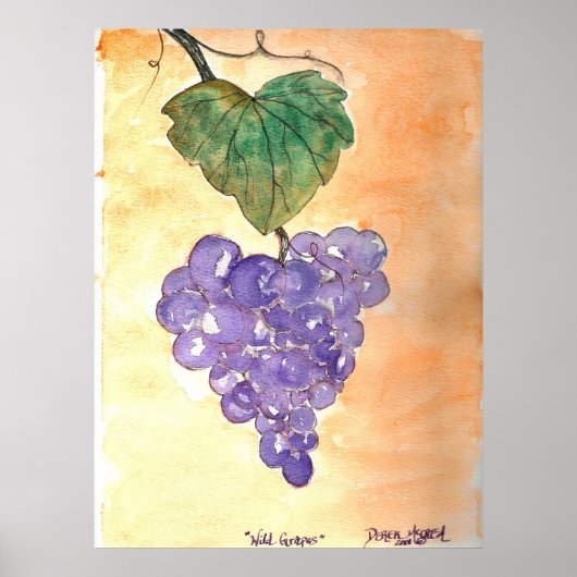 野生のブドウ ポスター (正面)