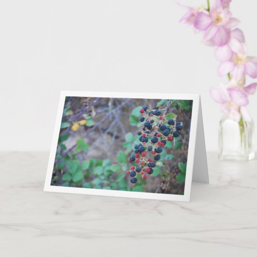 野生のブラックベリー果実 カード (蘭)