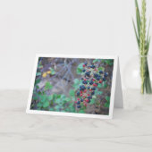 野生のブラックベリー果実 カード (正面)