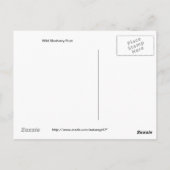 野生のブルーベリー果実 ポストカード (裏面)