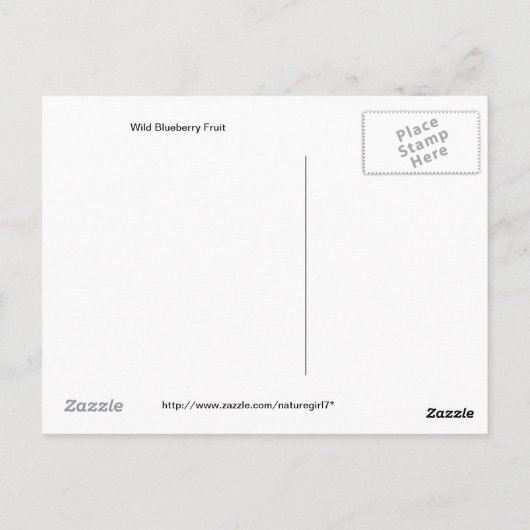野生のブルーベリー果実 ポストカード (裏面)