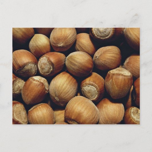 野生のヘーゼルナッツ ポストカード (正面)