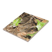 野生のベビーのバニー タイル (側面)