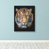 野生のベンガルタイガー顔 キャンバスプリント (インサイチュ (ウッドフロア))
