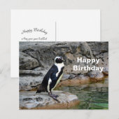 野生のペンギン写真 誕生日 ポストカード (正面/裏面)