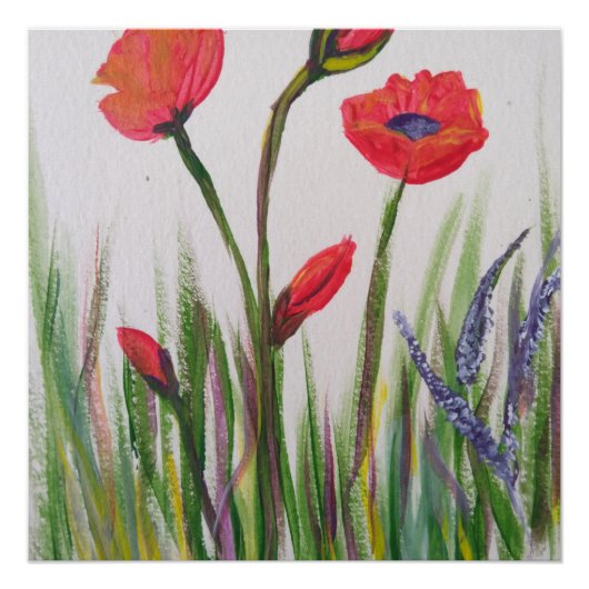 野生のポピーのポスター ポスター (正面)