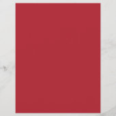 野生のポピー畑、旅行代理店の広告フライヤー チラシ (裏面)