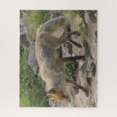 野生のポーズ：朝の光のキツネ ジグソーパズル (縦)