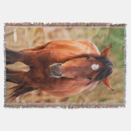 野生のポートレート スローブランケット