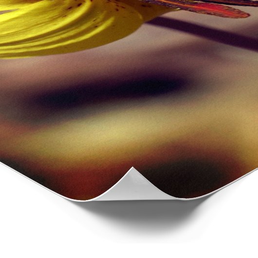 野生のマスのユリの花と虫の友人 ポスター (角)