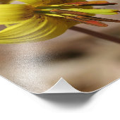 野生のマスのユリ花とホタルの友人8x10 フォトプリント            (角)