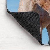 野生のマスタングスタリオンワイルドホースフォール マウスパッド (コーナー)