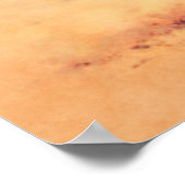 野生のマスタング馬スタンピードウォーターの色 ポスター (角)