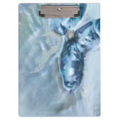 野生のマレーシア人真珠の母 クリップボード (正面)