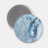 野生のマレーシア人真珠の母 マグネット (正面/裏面)