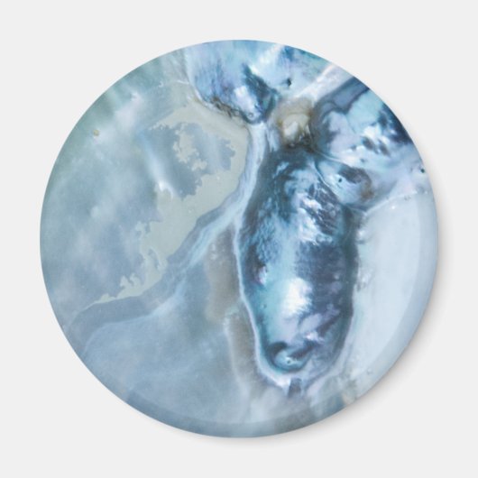 野生のマレーシア人真珠の母 マグネット (正面)