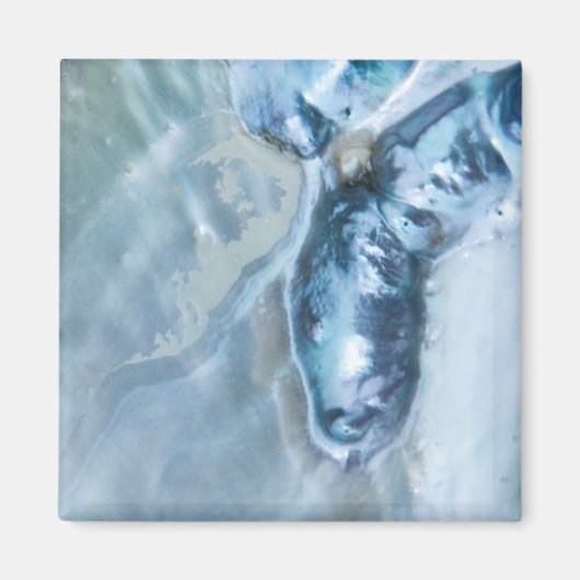 野生のマレーシア人真珠の母 マグネット (正面)