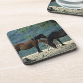 野生のムスタングのロバ及び子馬 コースター (左側)