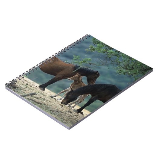 野生のムスタングのロバ及び子馬 ノートブック (左側)