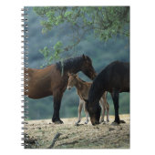 野生のムスタングのロバ及び子馬 ノートブック (正面)