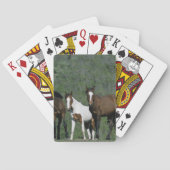 野生のムスタングの馬のグループ トランプ (裏面)