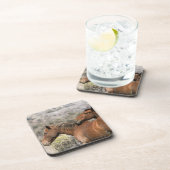 野生のムスタングの馬の接触 コースター (右側)