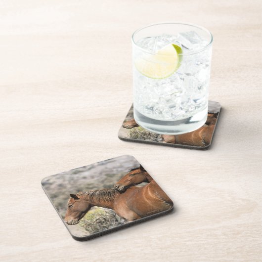 野生のムスタングの馬の接触 コースター (右側)