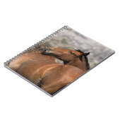 野生のムスタングの馬の接触 ノートブック (左側)