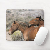 野生のムスタングの馬の接触 マウスパッド (マウス)