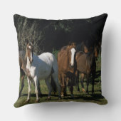 野生のムスタングの馬1 クッション (裏面)