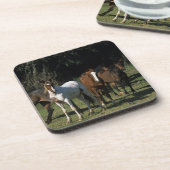 野生のムスタングの馬1 コースター (左側)