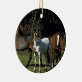野生のムスタングの馬1 セラミックオーナメント (右)