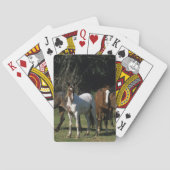 野生のムスタングの馬1 トランプ (裏面)