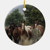 野生のムスタングの馬2 セラミックオーナメント (裏面)