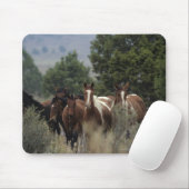 野生のムスタングの馬2 マウスパッド (マウス)