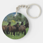 野生のムスタングの馬3 キーホルダー (裏面)
