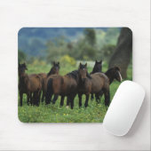 野生のムスタングの馬3 マウスパッド (マウス)
