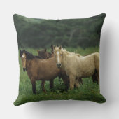 野生のムスタングの馬4 クッション (裏面)