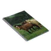 野生のムスタングの馬4 ノートブック (右側)
