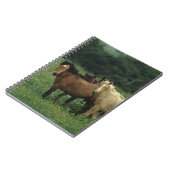 野生のムスタングの馬4 ノートブック (左側)