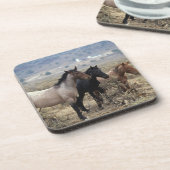 野生のムスタングの馬5 コースター (左側)